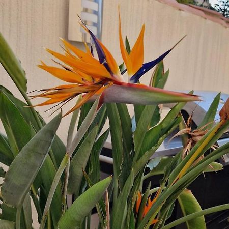 L'Oiseau Du Paradis Narbonne Kültér fotó